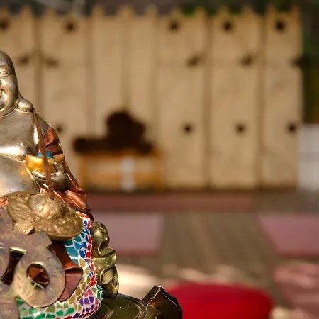 Luna Park Yoga & 3*