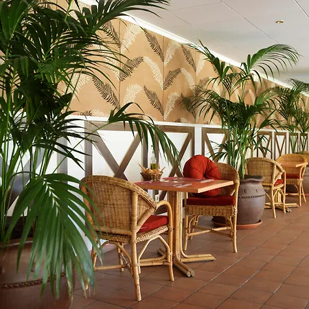 Luna Park Yoga & Hotel